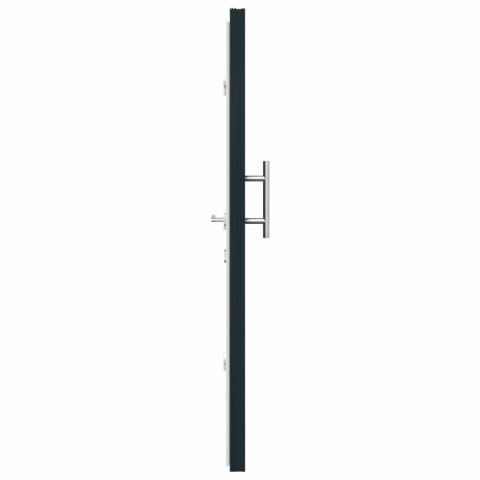 Drzwi Frontowe antracytowy 108 x 208 cm PVC