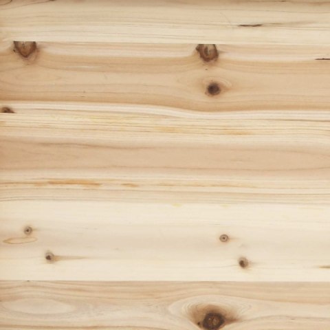Shed ogrodowy naturalny 106 x 56 x 176,5 cm Drewno Świerkowe