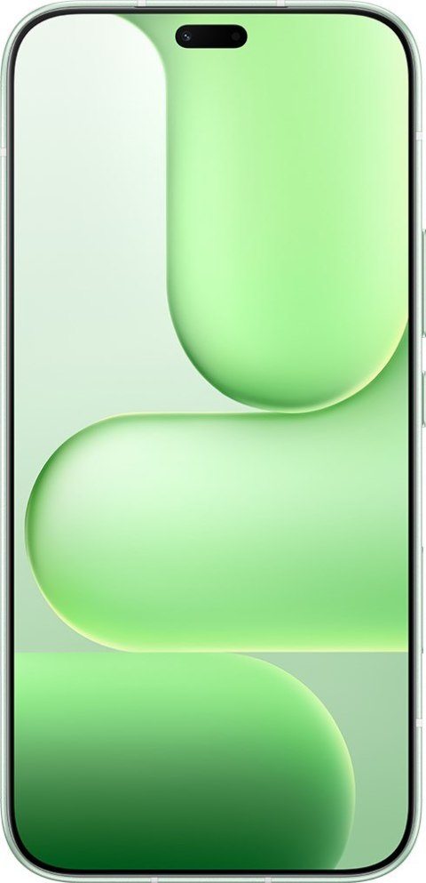 Smartfon Honor 600 Lite 8/256GB DS 5G Sprout Green