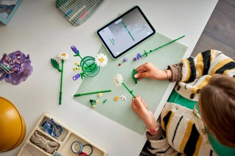 LEGO Botanical Collection 11508 - Stokrotki