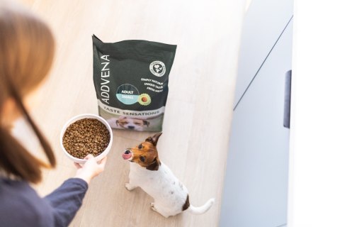 ADDVENA TASTE SENSATIONS dla dorosłych psów małych ras 10kg