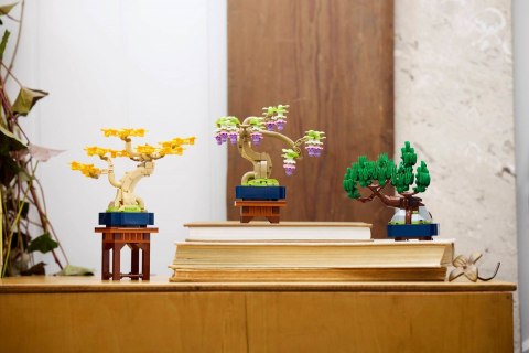 LEGO 10373 Botanical Collection - Małe drzewka Bonsai