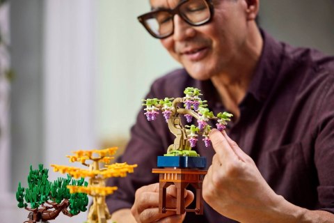 LEGO 10373 Botanical Collection - Małe drzewka Bonsai