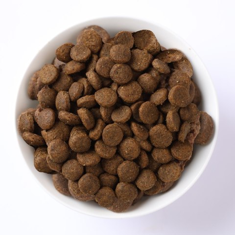 FARMINA N&D Quinoa Digestion - sucha karma dla kota - 1,5kg