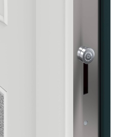 Drzwi Frontowe antracytowy 98 x 208 cm PVC