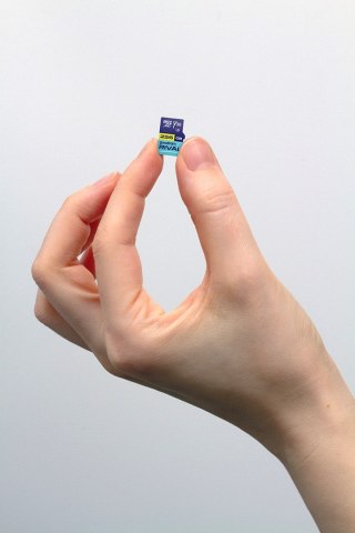 GOODRAM microSDXC 256GB V30 UHS I U3 RIVAL + adapter