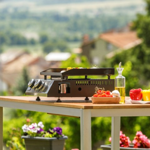 Grill gazowy BXOP4900E Black+Decker 2 palniki