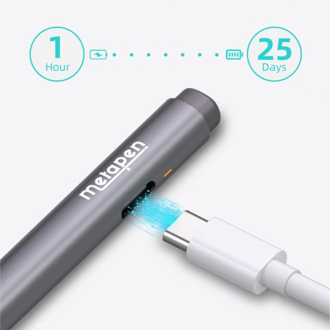 Rysik do urządzeń dotykowych Pen M2 - szary