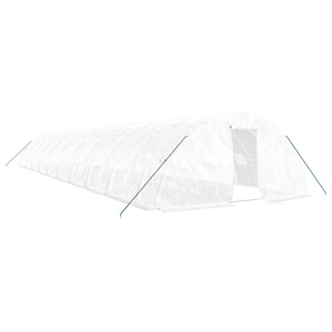 Szklarnia ze stalową ramą, biała, 100 m², 20x5x2,3 m