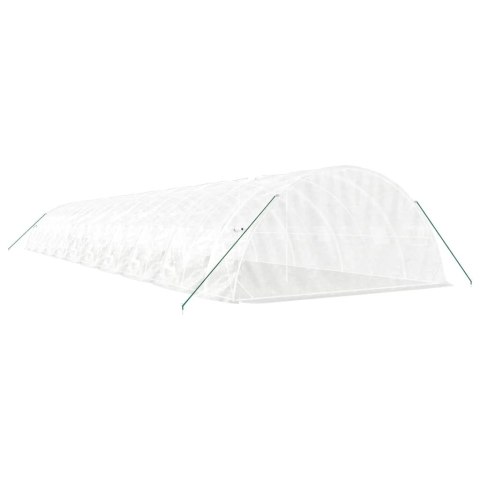 Szklarnia ze stalową ramą, biała, 100 m², 20x5x2,3 m