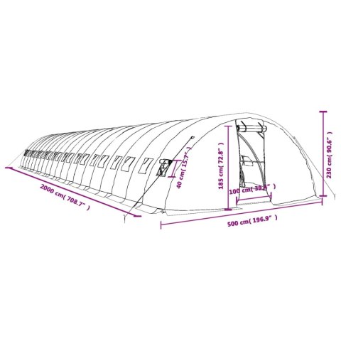 Szklarnia ze stalową ramą, biała, 100 m², 20x5x2,3 m