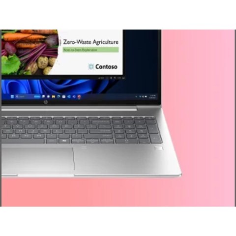 HP ProBook 4 G1a Ryzen 7 250 16.0"WUXGA IPS 300nits AG 24GB DDR5 5600 SSD512 Radeon 780M Cam1080p 56Wh W11Pro Pike silver 3Y OnS