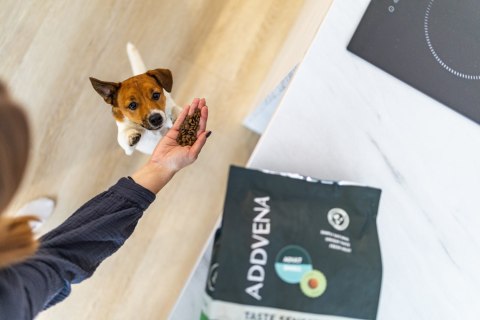 ADDVENA TASTE SENSATIONS dla dorosłych psów 2,5kg