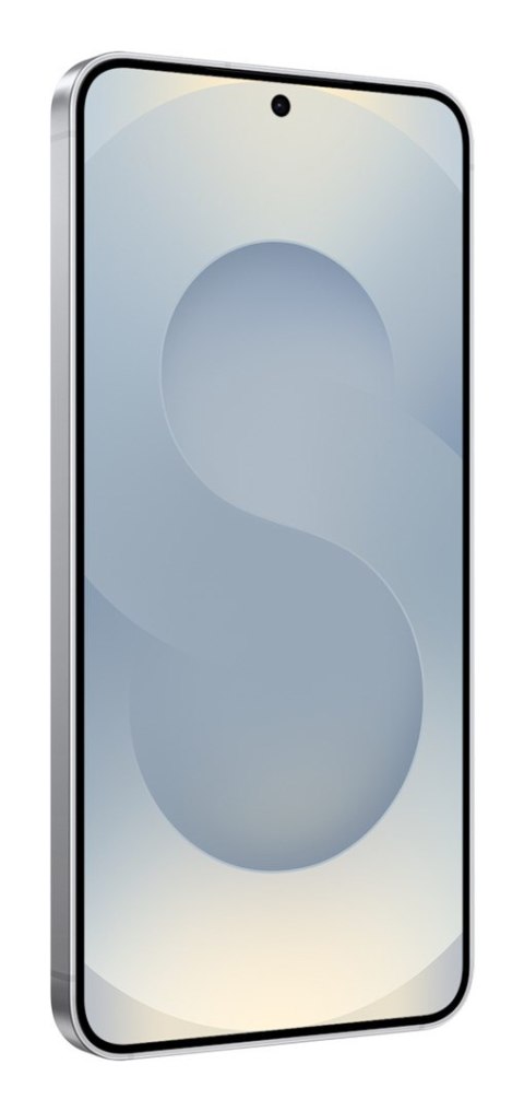 Samsung Galaxy S25 (S931) 5G DS 12/256GB Silver