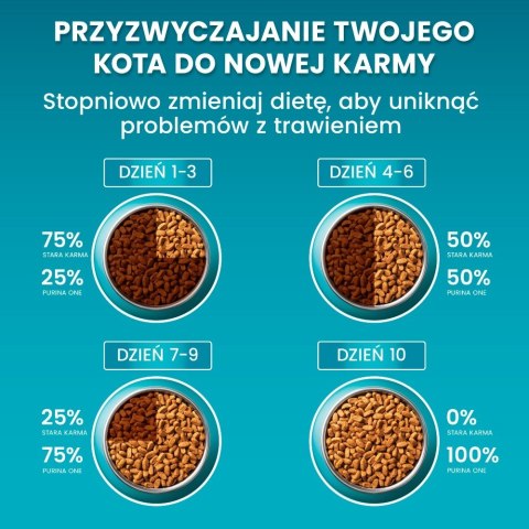 Purina ONE Sensitive Bogata w Indyka i Ryż 750g