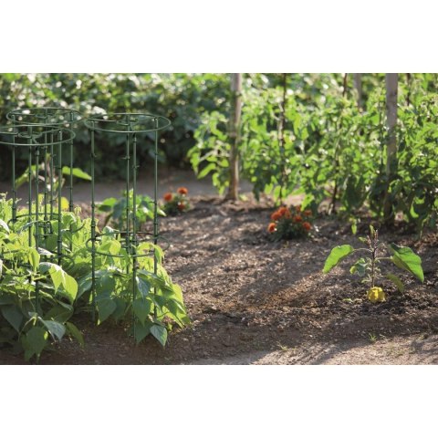PODPORA DO ROŚLIN FLOO SUPPORTS ŚR. 25 I 35CM ZIELONY LEŚNY