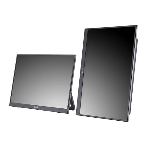 Monitor przenośny ANMITE A160W24H 16"