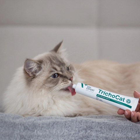VetExpert TrichoCat Anti-bezoar paste 120 g