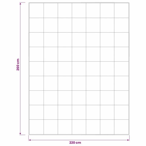 Zestaw kołdry 90% z gęsiego puchu FULDA 3 szt. 220 x 260 cm