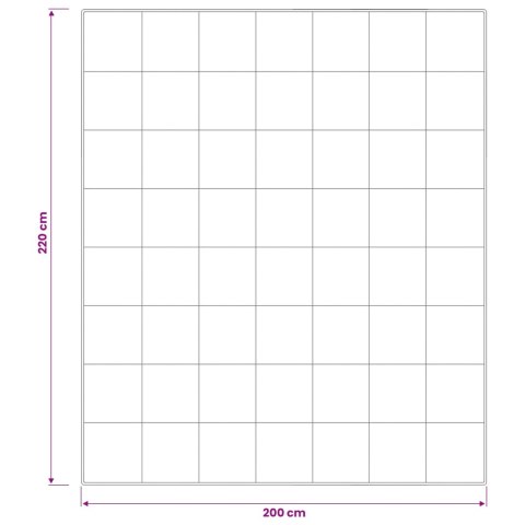 Kołdra FULDA 200 x 220 cm Zima 300 GSM 90% puch gęsi Biały