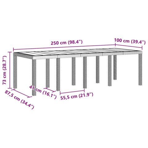 Stół Ogrodowy Biały 250 x 100 x 73 cm polirattan