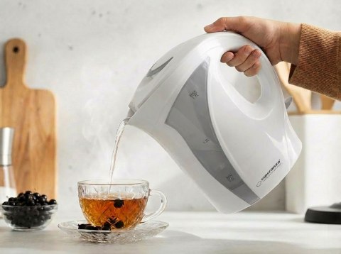 Czajnik elektryczny Esperanza Iguazu EKK018E (2200W 1.7l; kolor szary)
