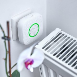Detektor gazu ziemnego Shelly Gas CNG