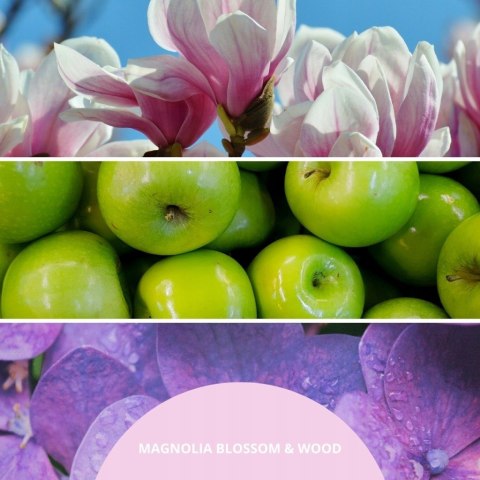 Pałeczki zapachowe 100ml MAGNOLIA BLOSSOM & WOOD MILLEFIORI