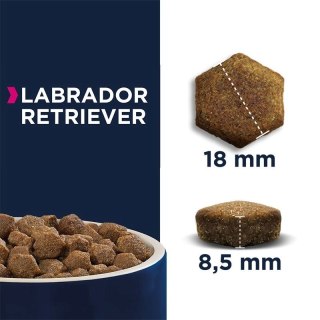 EUKANUBA Adult Labrador Retriever - sucha karma dla psa - 12 kg