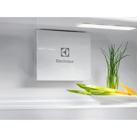 Chłodziarka ELECTROLUX ERD6DE18S1