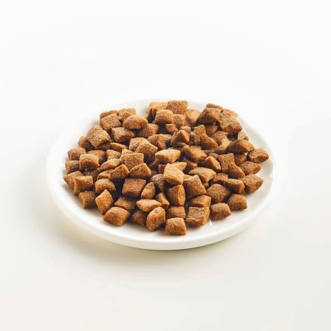 KATTOVIT Urinary - tuńczyk 4kg