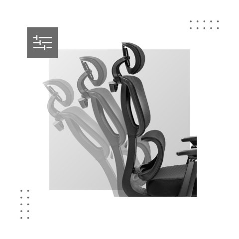 Fotel obrotowy Expert 4.6 Black