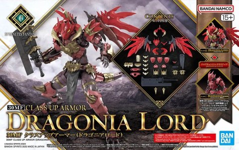 30MF CLASS UP ARMOR (DRAGONIA LORD)