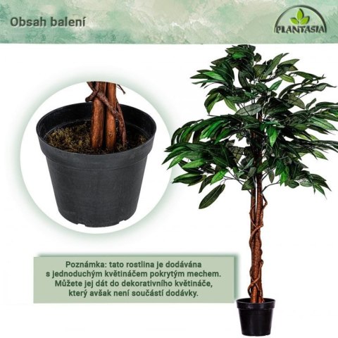 PLANTASIA Sztuczne drzewo mango 120 cm