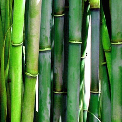 Parawan dwustronny obrotowy, Bambus - 110x170