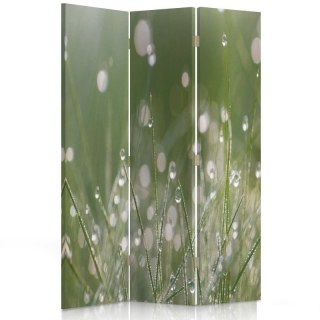Parawan dwustronny obrotowy, Krople rosy na trawie - 110x170