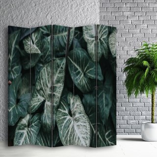 Parawan dwustronny, Zielone liście w skali makro - 180x170