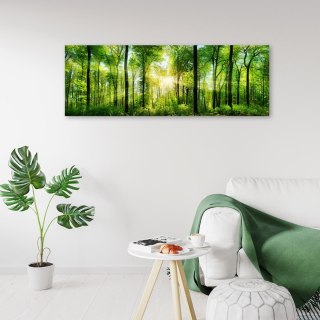 Obraz na płótnie, Promienie słońca w lesie, natura, zielony - 120x40