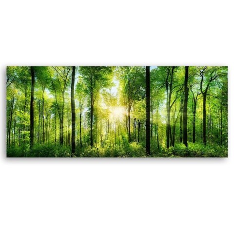 Obraz na płótnie, Promienie słońca w lesie, natura, zielony - 150x50