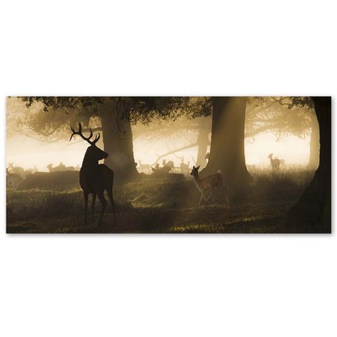 Obraz, Jelenie we mgle - 120x40