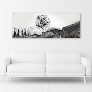 Obraz na płótnie, Czuwający tygrys - 120x40