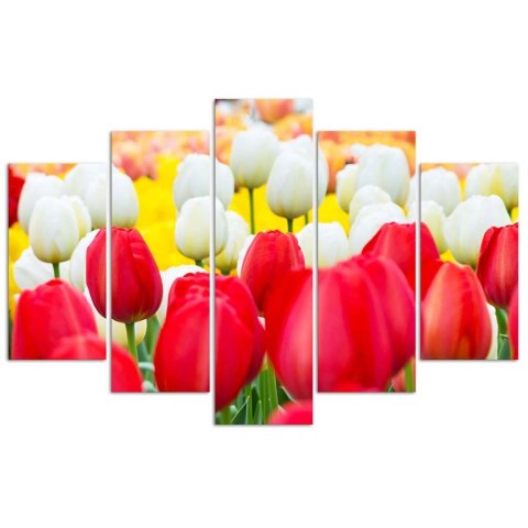 Obraz pięcioczęściowy na płótnie, Białe i czerwone tulipany - 150x100