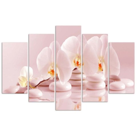 Obraz pentaptyk na płótnie, Storczyk na kamieniach - 150x100