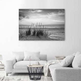 Obraz na płótnie, Trawy na plaży - czarno-biały - 60x40