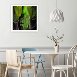 Obraz na płótnie, Pióra Ptaki Zielony Natura - 30x30
