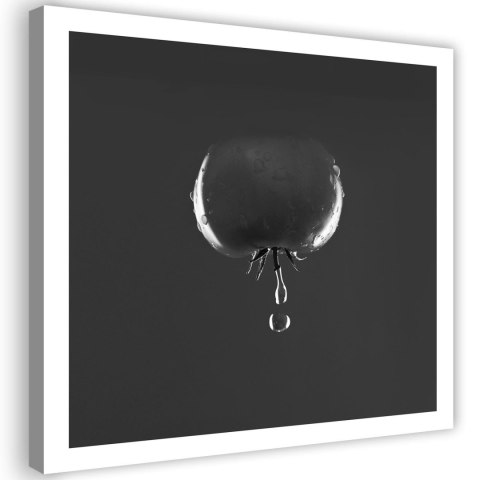 Obraz na płótnie, Pomidor i krople wody - czarno-białe - 40x40