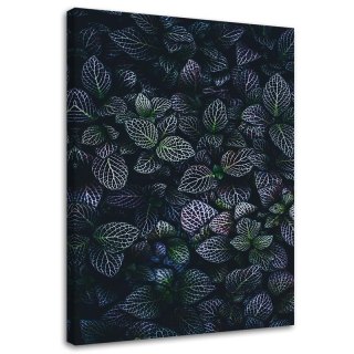 Obraz na płótnie, Liście rośliny natura - 80x120