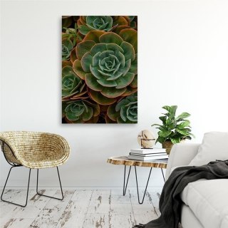 Obraz na płótnie, Sukulent zielony kwiat - 80x120