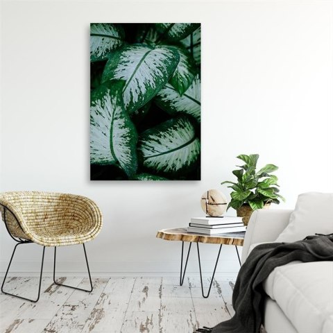 Obraz na płótnie, Tropikalne liście natura - 80x120