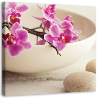 Obraz na płótnie, Różowe orchidee zen shabby chic - 60x60